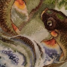 Процесс «карпы»