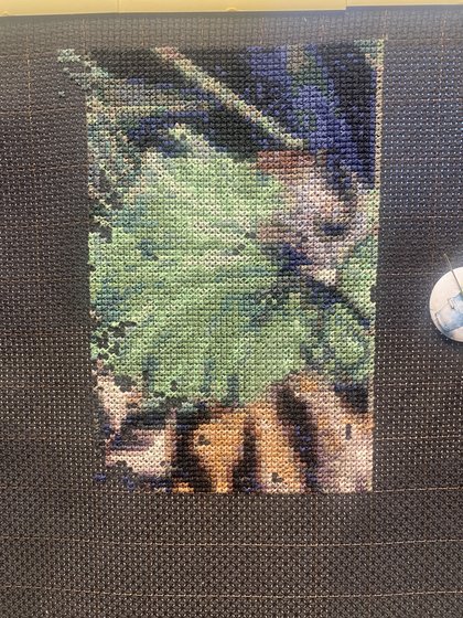 Этап процесса «Тигр»