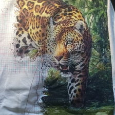 Процесс «Ягуар»