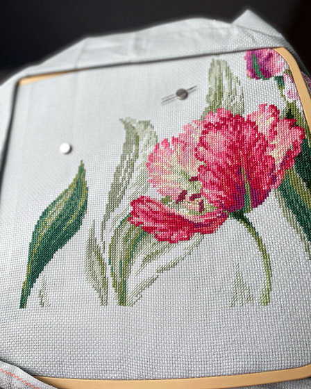 Этап процесса ««Весенние тюльпаны» Риолис 100/052»