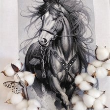 Процесс «Ветер в гриве.»