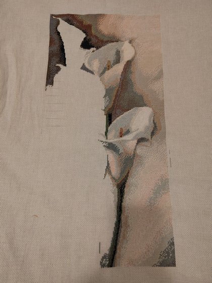 Этап процесса «Каллы»