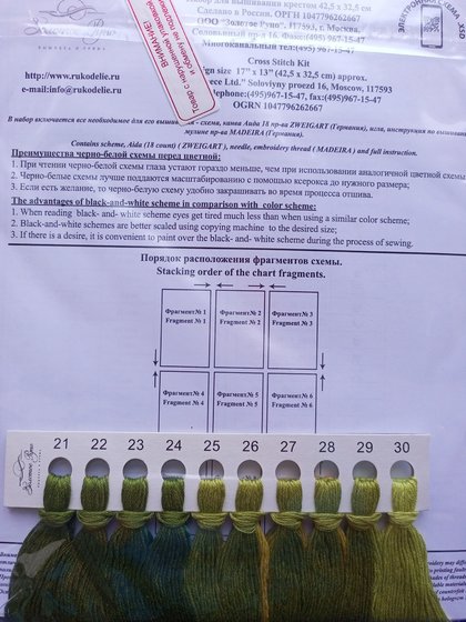 Этап процесса «Уголок заросшего сада. Сныть-трава. От Золотого Руно»