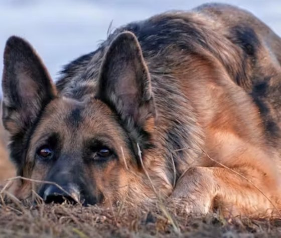 Этап процесса «№9216»