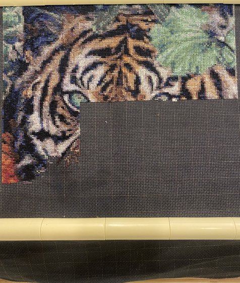 Этап процесса «Тигр»