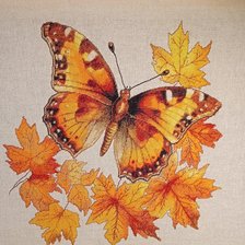 Процесс «Бабочка с кленовыми листьями»