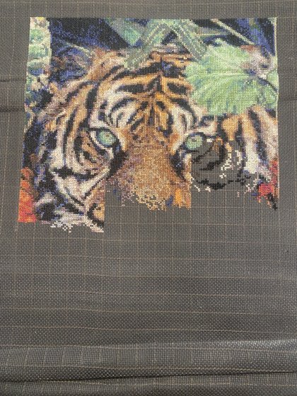 Этап процесса «Тигр»