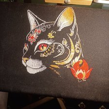 Процесс «Мистический кот»