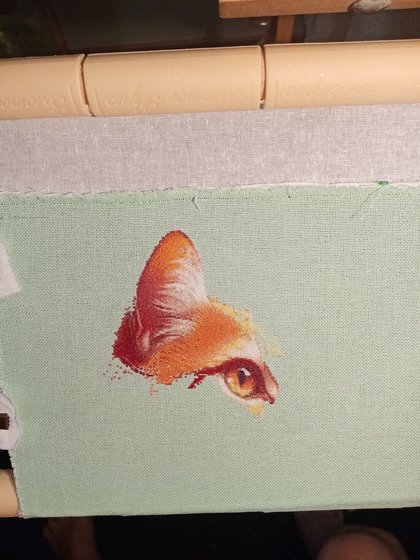 Этап процесса «Рыжий кот»