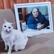 Процесс «№9290»