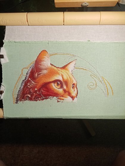 Этап процесса «Рыжий кот»