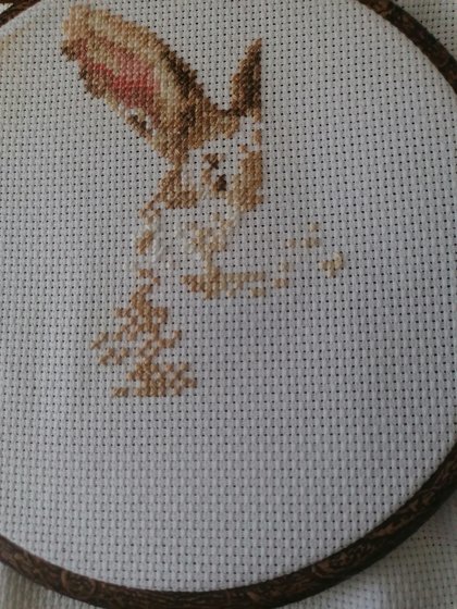 Этап процесса «Кролики»