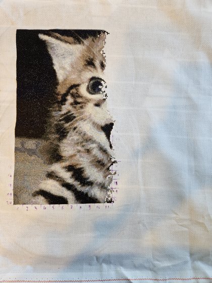 Этап процесса «Котенок»