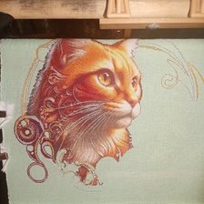 Процесс «Рыжий кот»