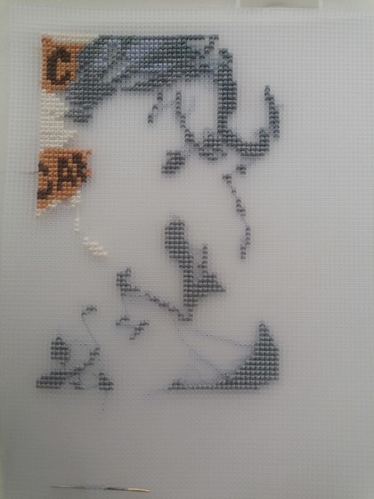 Этап процесса «Аль Хайтам»