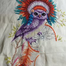 Процесс «Ловец снов»