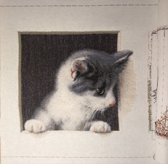 Этап процесса «Кошки-мышки»