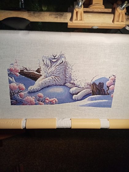 Этап процесса «Снежные рыси»