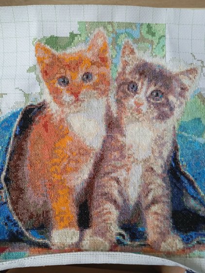 Этап процесса «Котята»