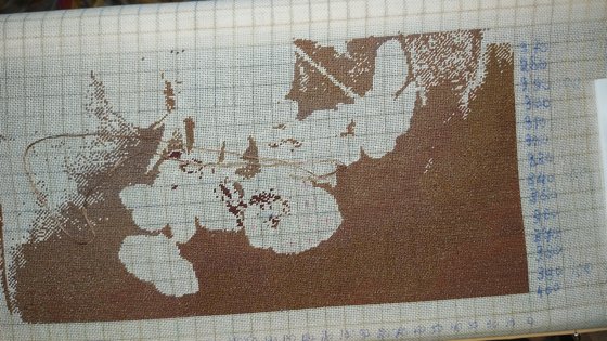 Этап процесса «Анютины глазки 400 х 319»