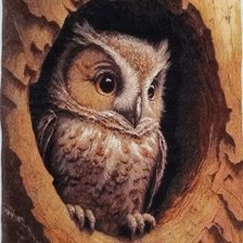 Процесс «Совёнок»