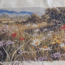 Процесс «Полевые цветы»