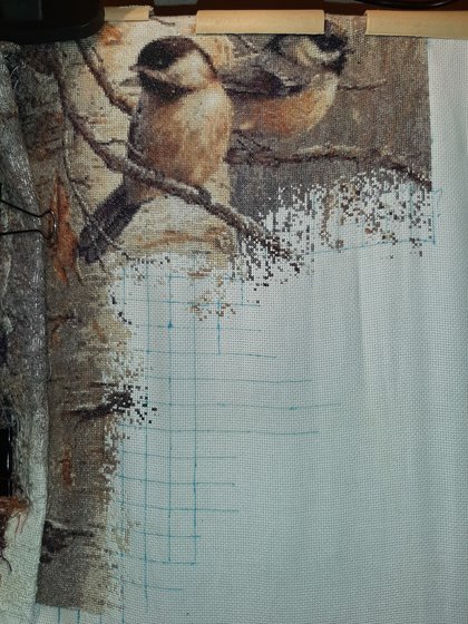 Этап процесса «Синички»