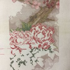 Процесс «Ветка Сакуры»