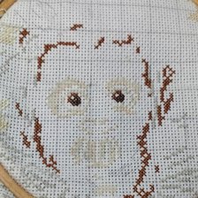 Процесс «Особа, склонная к романтике»