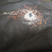 Процесс «Сова»