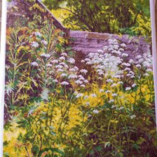 Процесс «Уголок заросшего сада. Сныть-трава. От Золотого Руно»