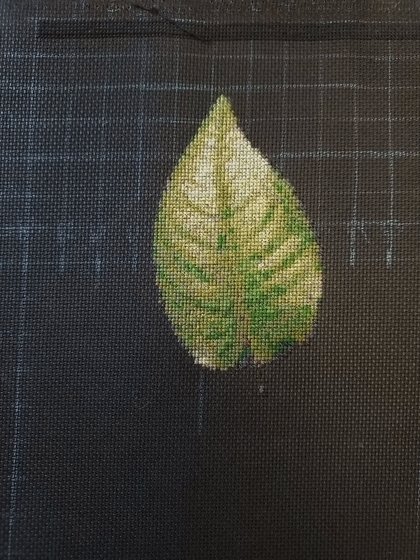 Этап процесса «Роза»