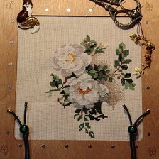 Процесс «Белый шиповник»