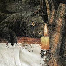 Процесс «Кот»