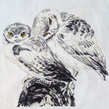 Процесс «Влюблённые совики»