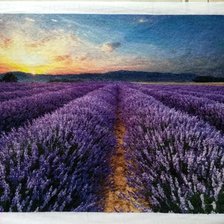 Процесс «Лавандовое поле.»
