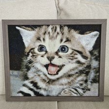 Процесс «Котенок»