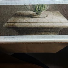 Процесс «Розы и Флоксы»