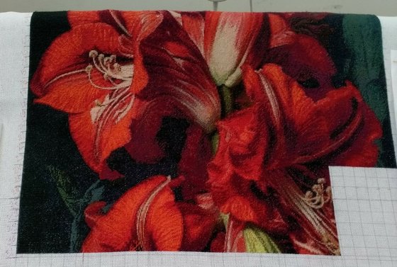 Этап процесса «Амариллис.»