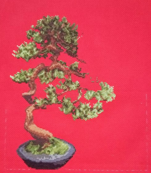 Этап процесса «Денежное дерево»