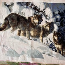 Процесс «Волчья стая»