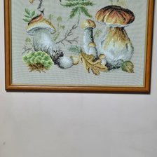 Процесс «Белые грибы»