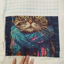 Процесс «Зимний кот в шапке»