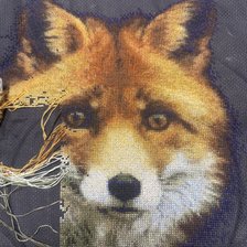 Процесс «№9626»