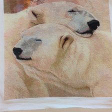 Процесс «Это любовь.»