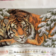 Процесс «Тигр»