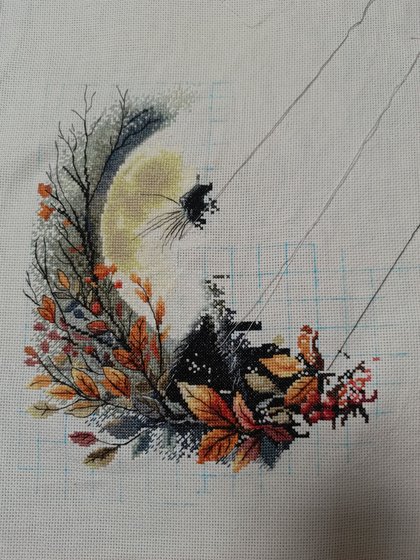 Этап процесса «Лунный кот»