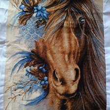 Процесс «Красавица лошадка»