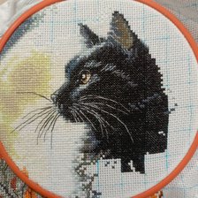 Процесс «Лунный кот»