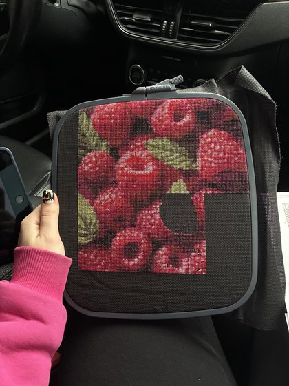 Этап процесса «Малина»